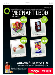Síða 21