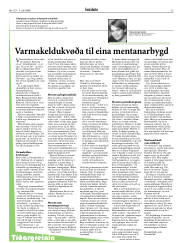 Síða 13