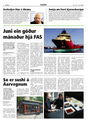 Síða 8