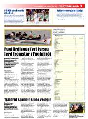 Síða 21