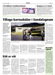Síða 11