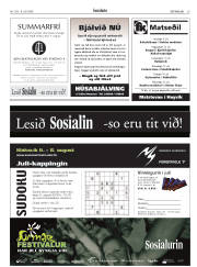 Síða 29