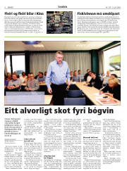 Síða 6
