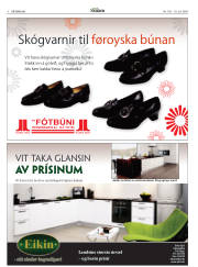 Síða 8