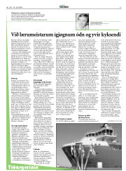 Síða 13