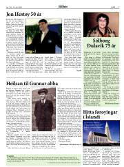 Síða 17