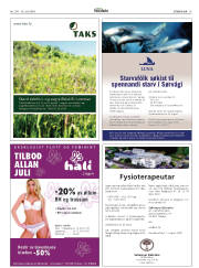 Síða 19