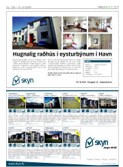 Síða 17