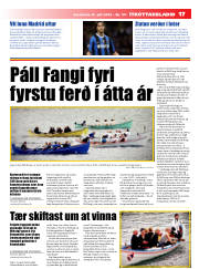 Síða 17