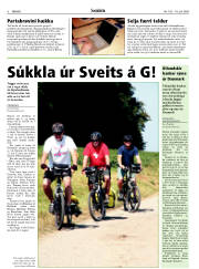 Síða 6