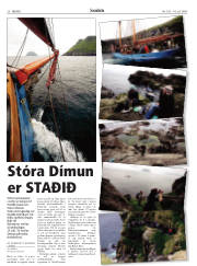 Síða 20