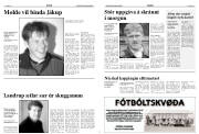 Síða 10