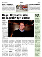 Síða 17