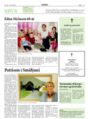 Síða 15
