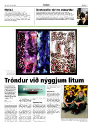 Síða 17
