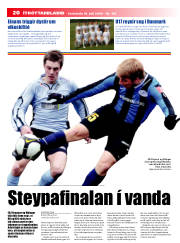 Síða 20