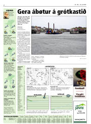 Síða 32