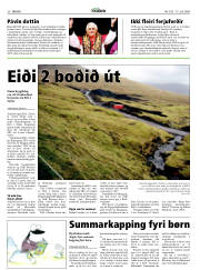 Síða 20