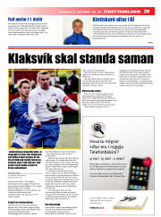 Síða 29