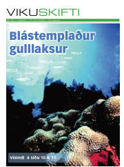 Síða 1