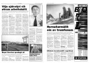 Síða 3