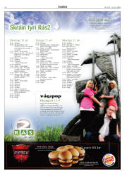 Síða 46