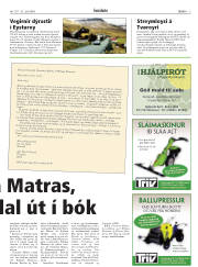 Síða 3