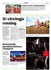 Síða 5