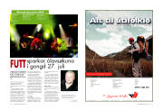 Síða 12