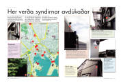 Síða 17