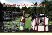 Síða 30