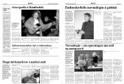 Síða 6