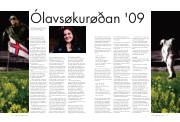 Síða 39