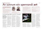 Síða 41