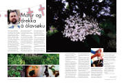 Síða 53