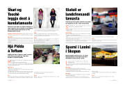 Síða 49