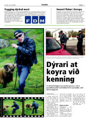Síða 7