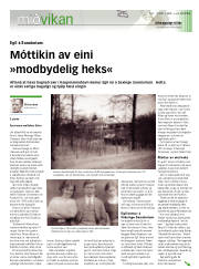 Síða 9