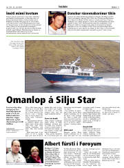 Síða 11