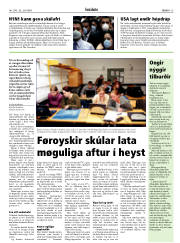 Síða 15