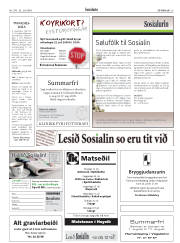 Síða 25