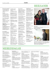 Síða 33