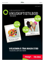 Síða 17