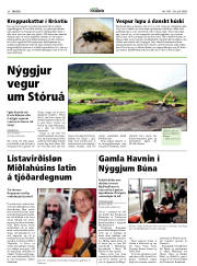 Síða 28