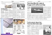 Síða 3