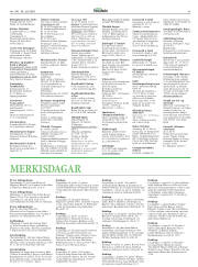 Síða 41