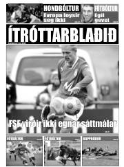 Síða 13