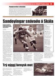 Síða 33