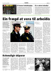 Síða 11