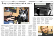 Síða 11